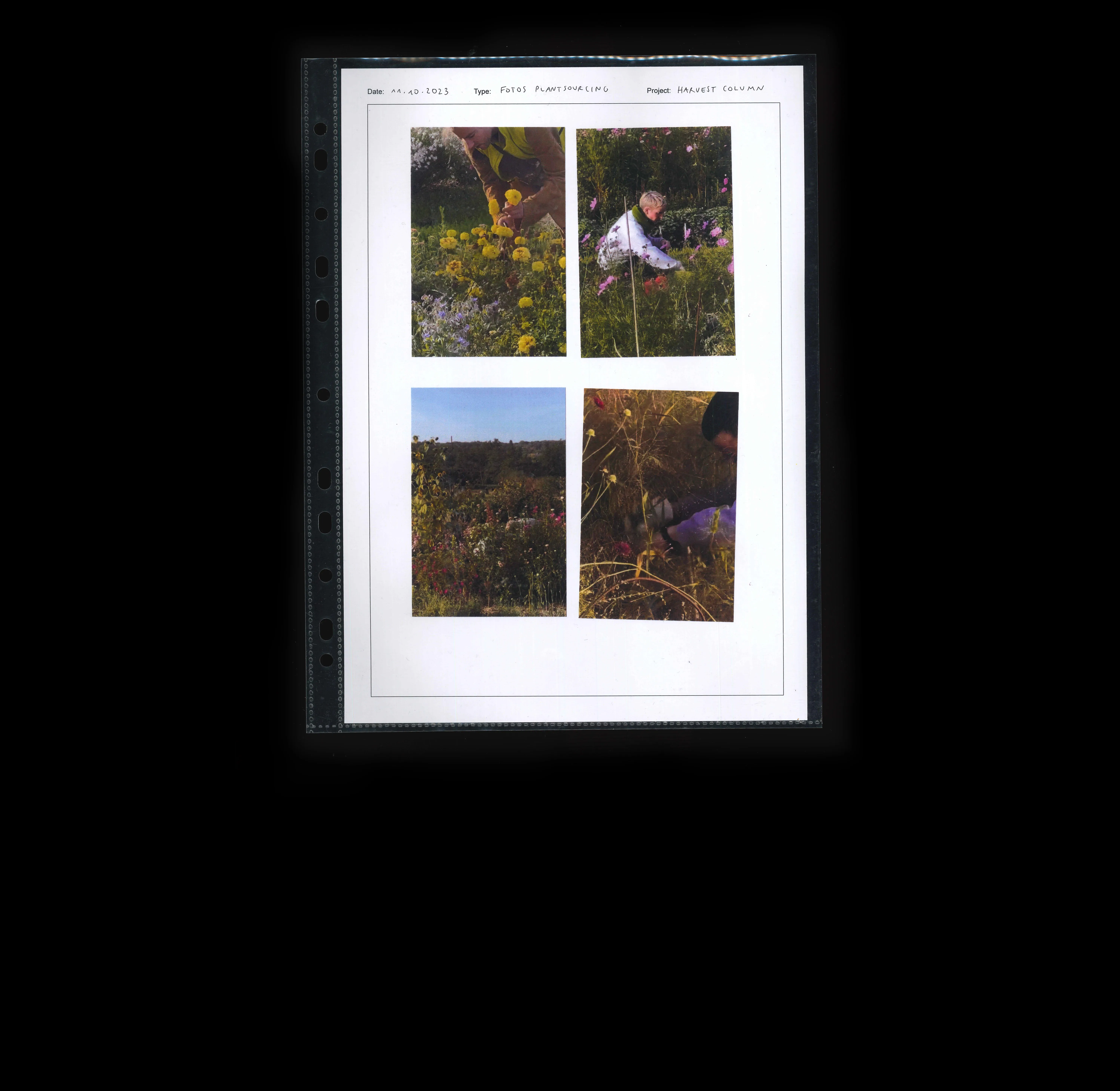 Project image